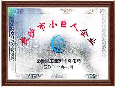 長(zhǎng)沙市小巨人企業(yè)