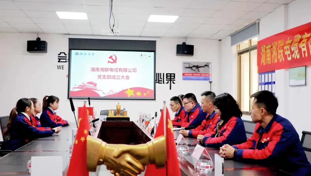 新征程 | 熱烈祝賀湖南湘聯(lián)電纜有限公司黨支部正式成立！