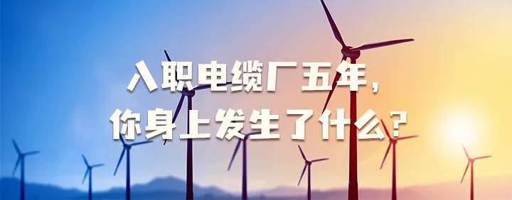 入職電纜廠(chǎng)五年，你身上發(fā)生了哪些變化~