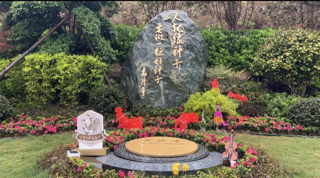 禾下乘涼夢，一稻一人生 我們永遠(yuǎn)懷念袁爺爺 #安全用電你我湘聯(lián)